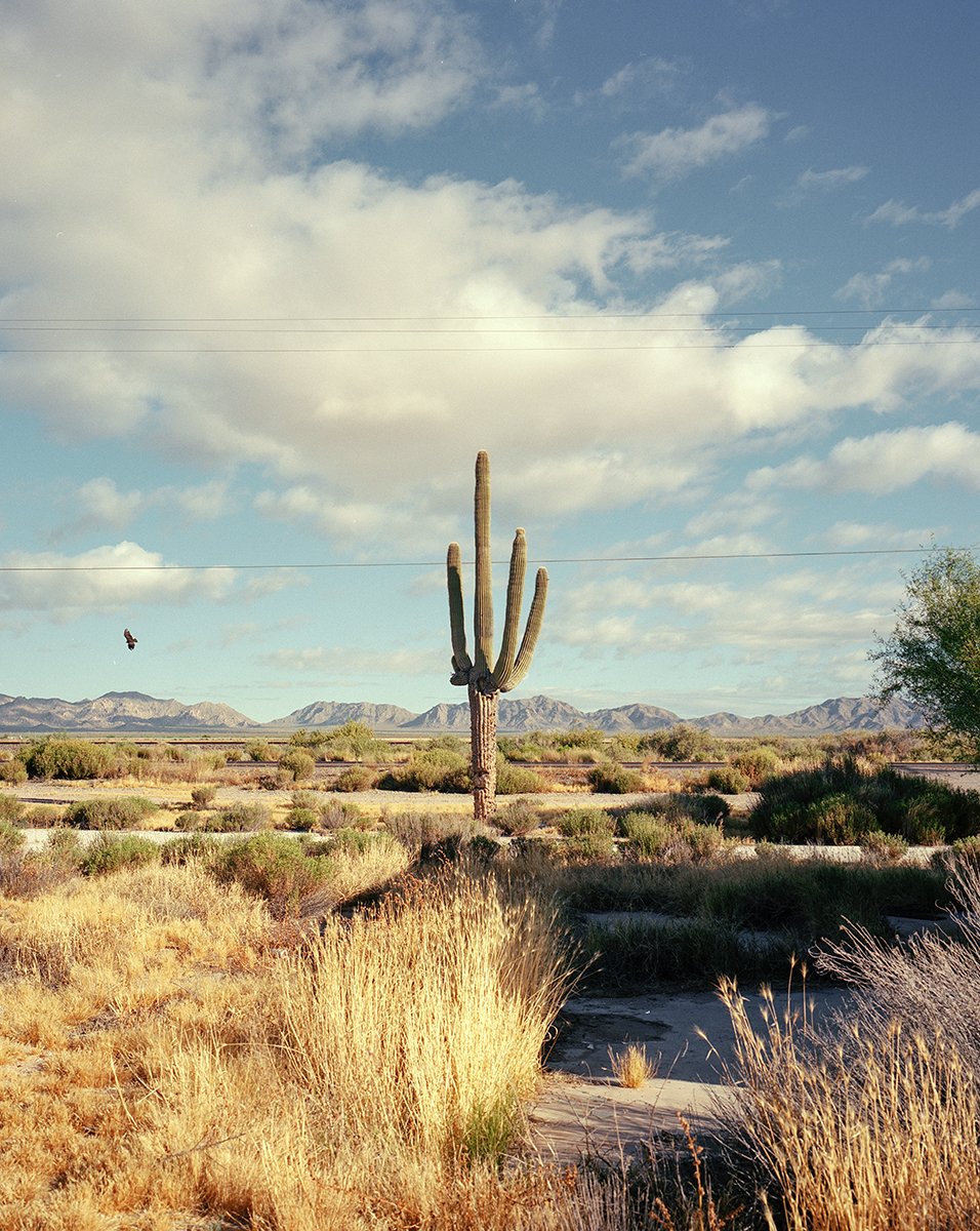 Arnaud Montagard tweet media