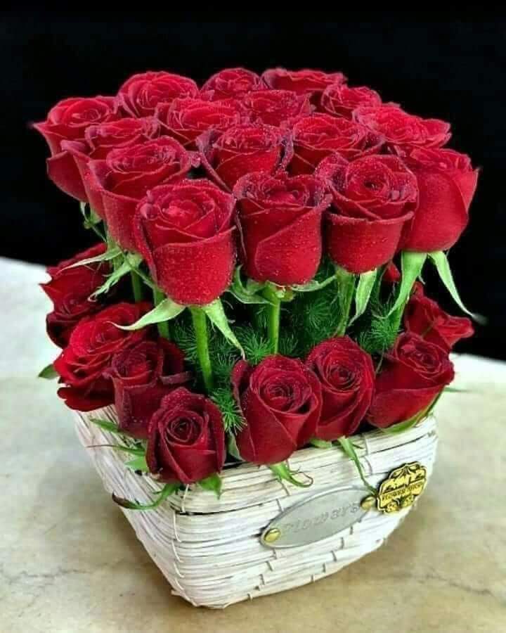 ChacarSudeer's tweet photo. @Uknown444 @SaherShahRizvi1 Hey kasi ho  Sudeer ... https://t.co/ooZnYU2Wm0