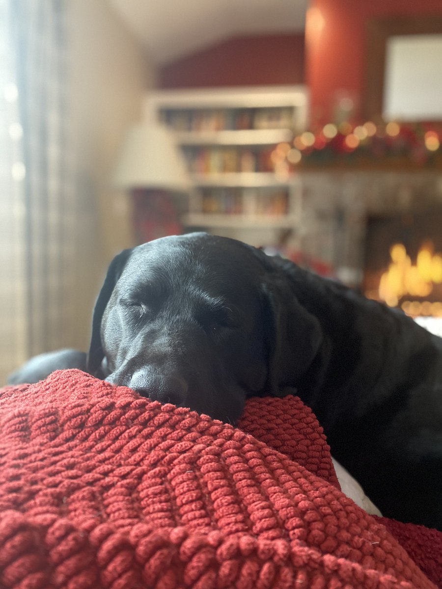 elainaricker's tweet photo. I just got called a “Yellowstoner” and I’m totally okay with it. Because my and my girlfriend are chillin watching tv https://t.co/ROGLzNCPM1