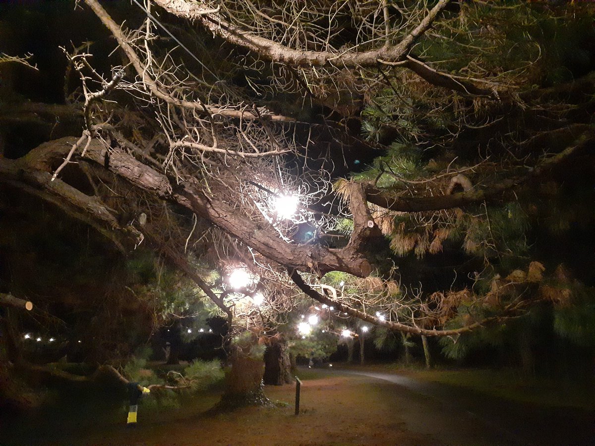 RadioEventFM's tweet photo. Beautiful early evening walk at Cabinteely House, illuminated by @dlrevents 
#eventfm https://t.co/Ae9wI1IbNS