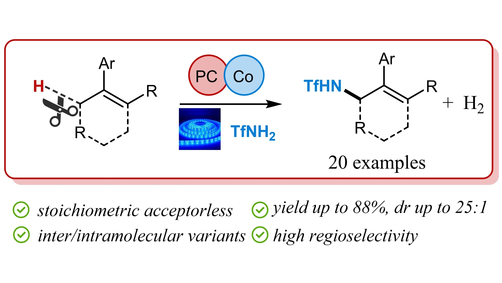 AdvSynthCatal's tweet photo. Visible-Light-Assisted Synthesis of Allylic Triflamides via Dual Acridinium/Co Catalysis (Bandini) https://t.co/v45X1K1GEO https://t.co/X6VvhaqMci