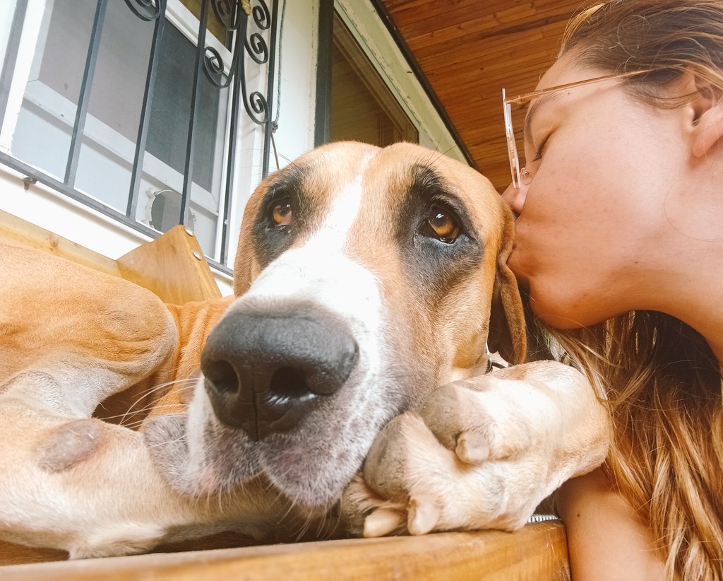 Pseudo_mona, MD 🗿 tweet media