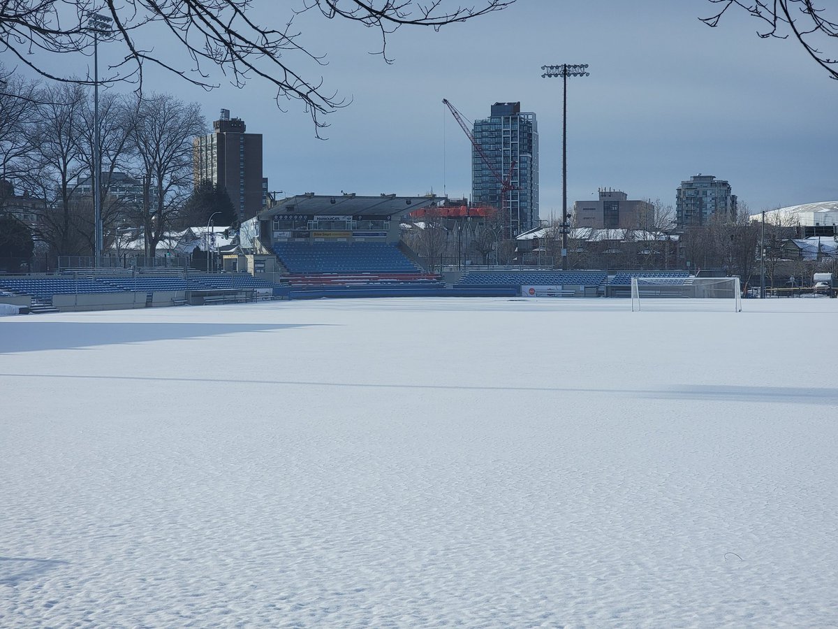 d3adinsyd3's tweet photo. The ballpark looks beautiful today, can't wait for the season this summer @HarbourCats @WCLBaseball #HCats #HarbourCats #yyj #victoriabuzz #GoCatsGo https://t.co/Aeiq3MiUHl