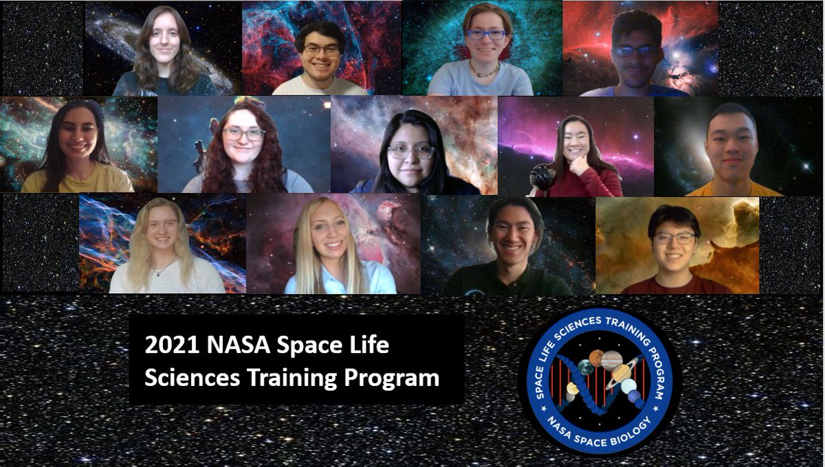 Collage of portraits of 2021 NASA SLSTP participants