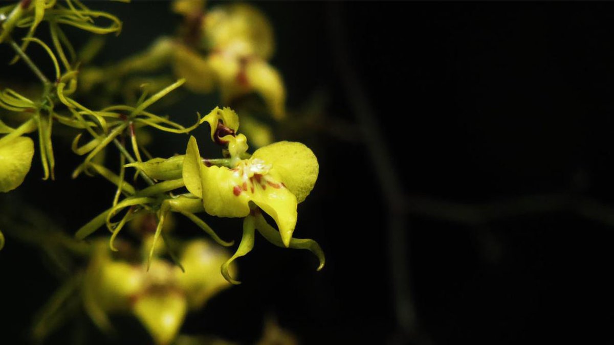 oswaldoaves's tweet photo. #ElDescaroDelAnoEs no valorar y querer este lindo pais: COLOMBIA 🇨🇴🇨🇴🇨🇴
Quien es prospero en biodiversidad https://t.co/b62ugjswnc