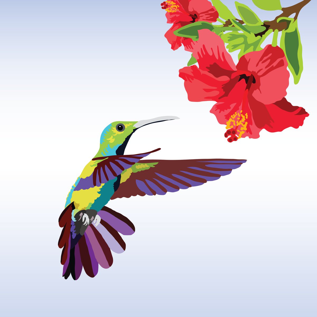 iamCaauseJnr's tweet photo. Hummingbirds collection 1/4 releasing January 2022. Hope you like them! #NFTs #NFT #NFTCommunity #NFTartist #NFTCollection https://t.co/4XdbzAdULB