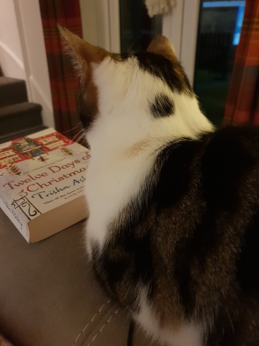 katrob1's tweet photo. @trishaashley Looks like he's waiting for me to open my book so he can read it https://t.co/8AaBaR9exi