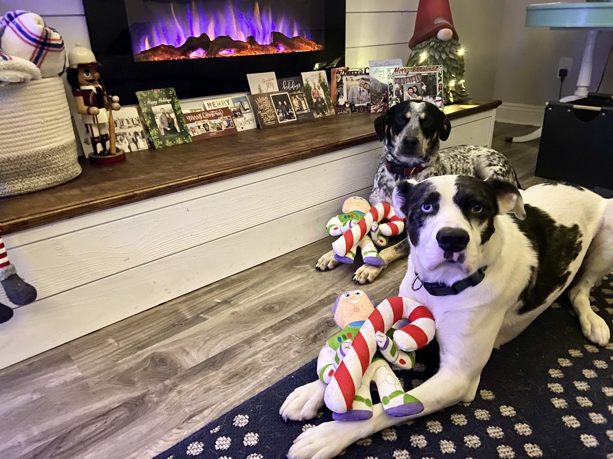 MadisonBerrong's tweet photo. Another holiday well spent for the Berrong’s 🎉 https://t.co/BOLcFfILk7