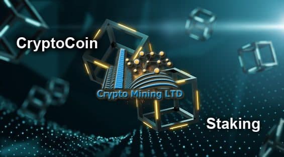 Crypto Mining LTD tweet media