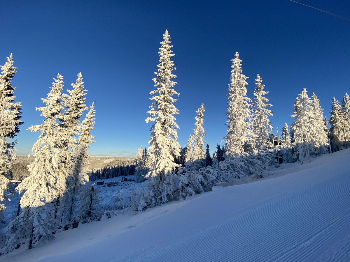 PilarskaJo's tweet photo. Annual leave at itβs best πβ·βοΈβοΈ#kvitfjell #luckygirl #feelingrefreshed #backtoworkwego https://t.co/E7zsLjBCzg