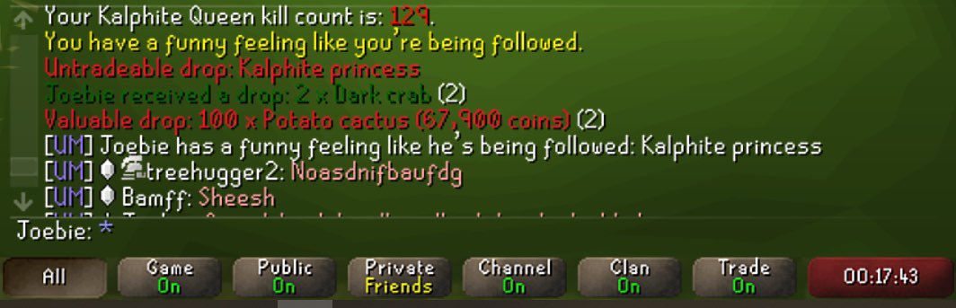 Joebie had a very lucky week!