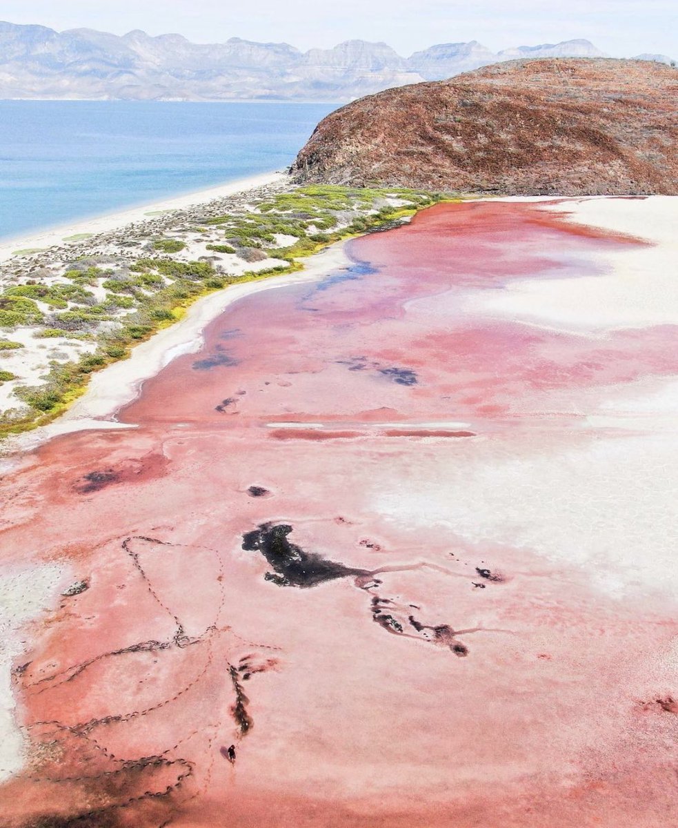 BcsMag's tweet photo. 😍 Cuando todas las tonalidades de azul no son suficientes, #BajaCaliforniaSue te sorprende con otros colores. ¿Sabes qué sitio es este? 📷: alpathisway https://t.co/7K1Yp99dSc