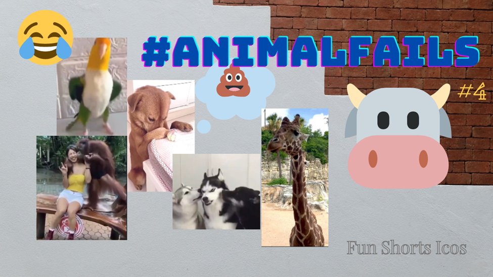 BroadcWorld's tweet photo. #AnimalsFails #4 Enjoy with those crazy animals ๐
๐ https://t.co/kKbr4oqgwl https://t.co/inYqExz8Sw