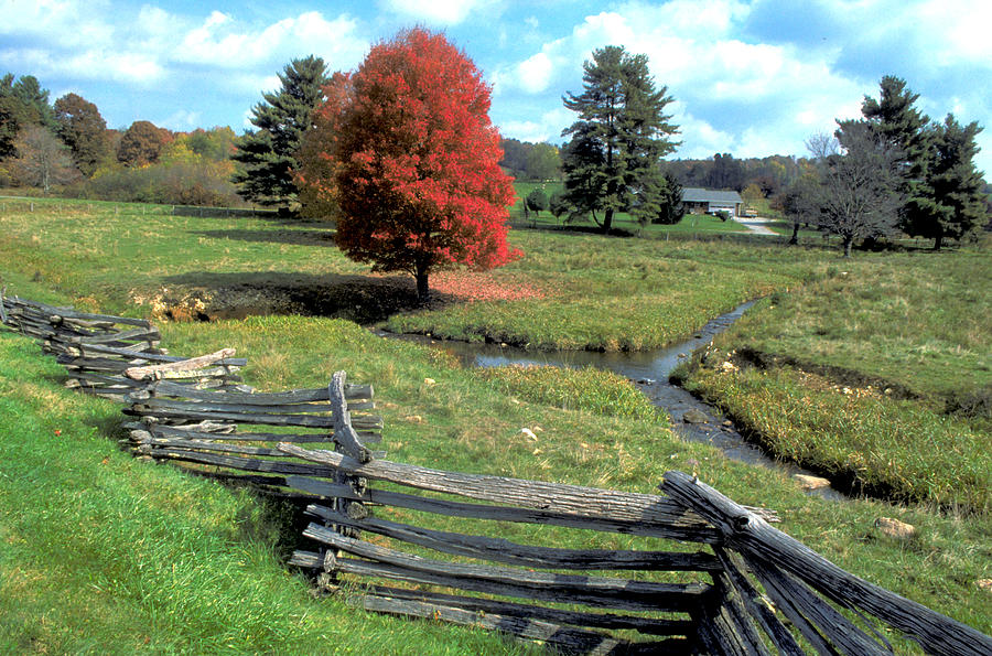 The earliest use of the chestnut was probably as a fencing wood - few woods split easier and straighter while being as light and durable. Early colonial settlers built "Virginia rail fences" out of chestnut, which required no posts and lasted a life time.