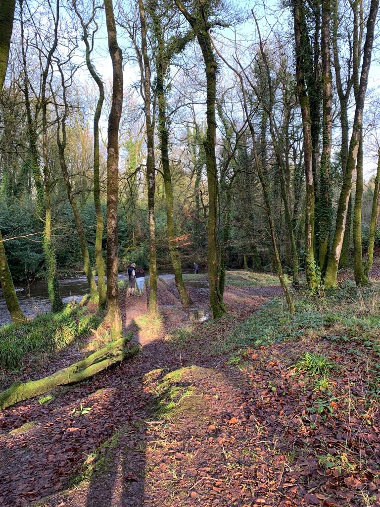 Cott5J's tweet photo. Our last woodland adventure of the year at #SealyhamWoods 🌳 #Pembrokeshire 💙
The warmth of the winter sun peering through the trees is simply beautiful 😊 #Apricity 🌞 #WoodlandFolk 🧚‍♂️ https://t.co/STrIXPMth7