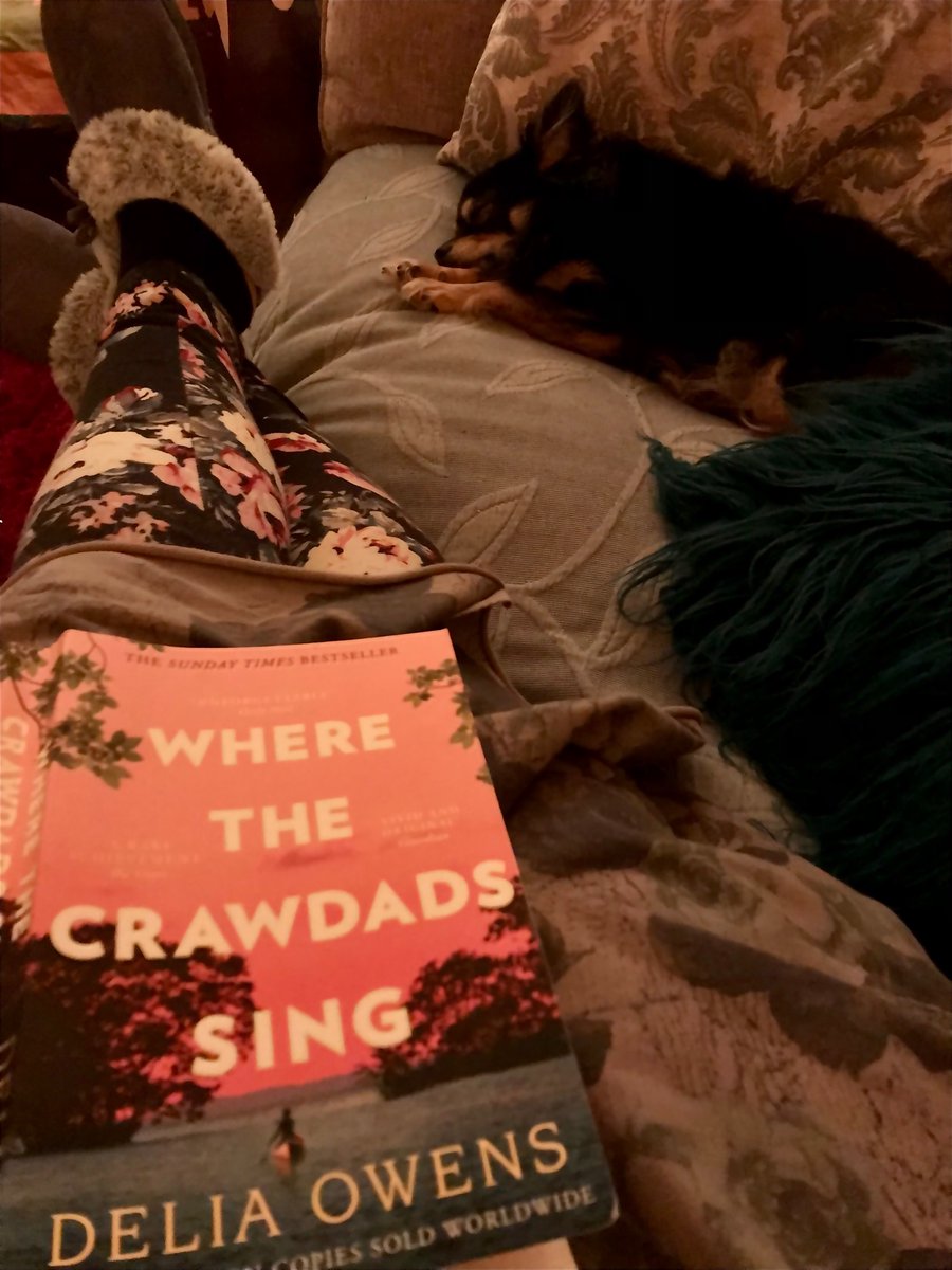 jomo14729's tweet photo. Mood… #ThatMidTime #goodreads #BookMeUp #TinyDog #StayingHome #ToryCriminals #Christmas2021 https://t.co/wzawqT0dgs