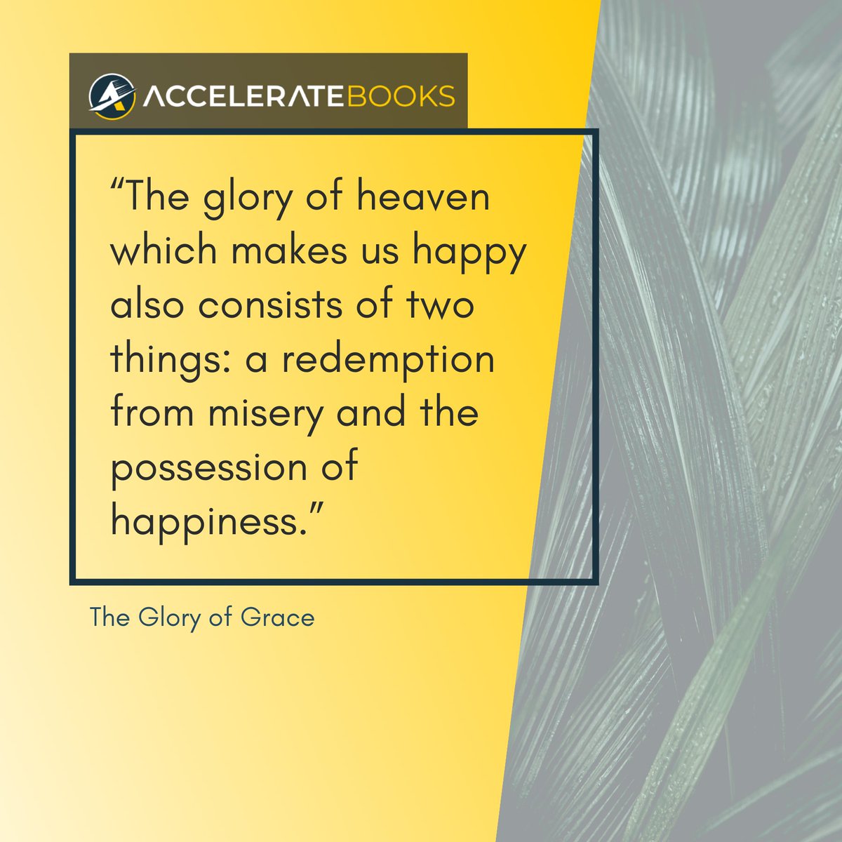 AccelerateBooks tweet media