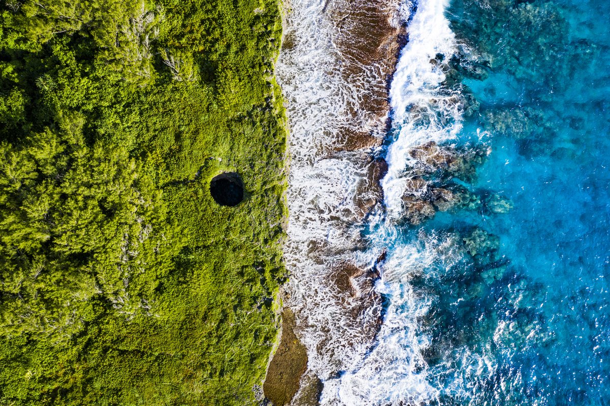 CookIslands's tweet photo. "The Grottos" found on the island of Atiu 😍
Fact: Known to locals as Te Rua O Tarapaku, is a natural hole in the makatea (fossilised coral cliffs) approx. 10m in diameter
Fun fact: Can also be a blowhole at king tide 🌊
#CookIslands #LoveALittleParadise #Atiu https://t.co/85rAKsHtq4
