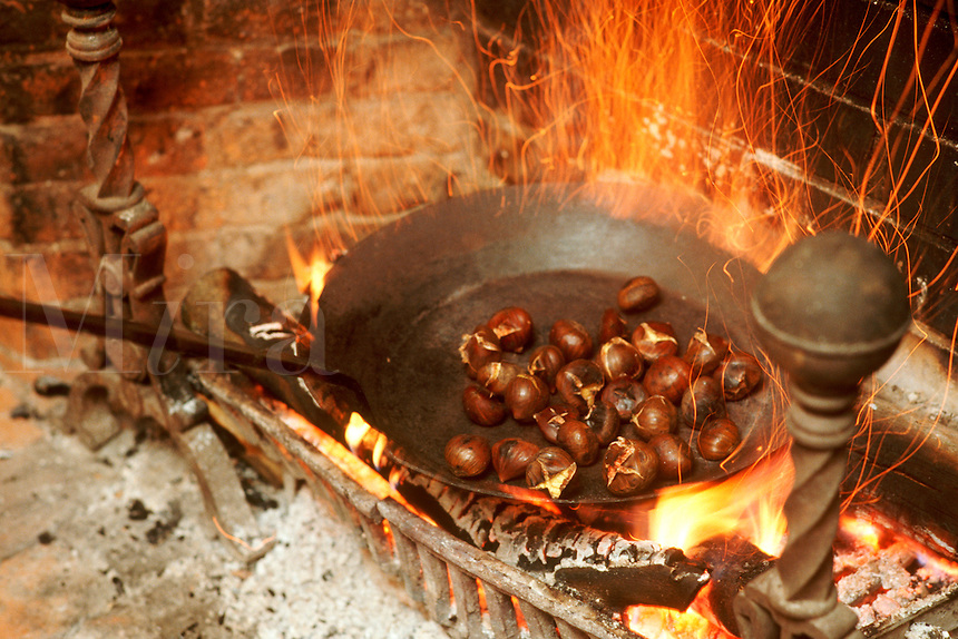 "Chestnuts roasting on an open fire" would produce a delightful aroma that spread through the hills. In the 1800s to early 1900s, you could hardly walk through Appalachian hollows in the fall and winter without smelling chestnuts baking in people's homes.