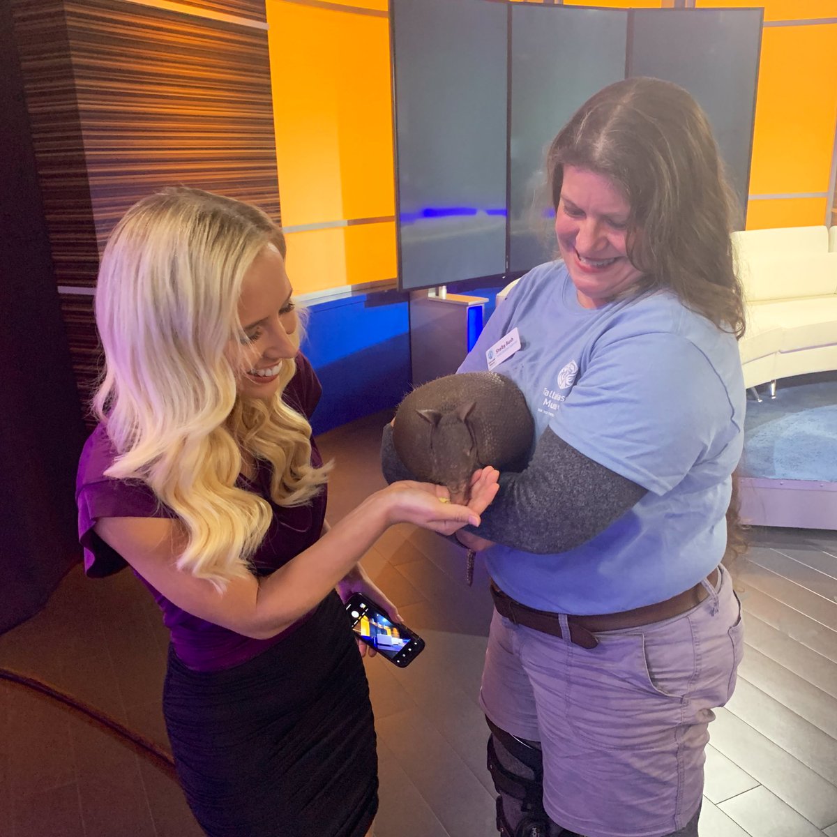 #WildWednesday feeding an armadillo from <a href="/tallymus/">Tallahassee Museum</a> some scrambled eggs &amp; worms! Count me in for one part of that diet! 🥴😅 <a href="/WCTV/">WCTV Eyewitness News</a>