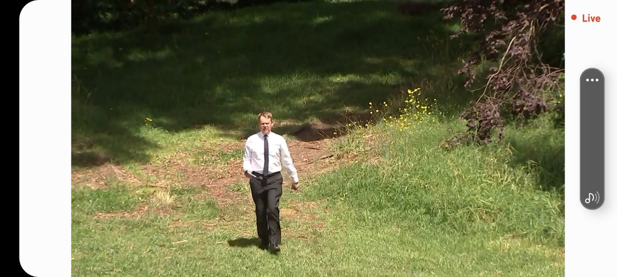 David Cormack tweet media