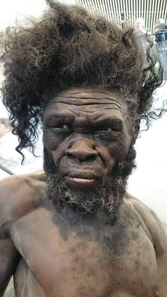 archeohistories's tweet image. Modern reconstruction of world's first modern human looked like. It is in a museum in Denmark and estimated to be 160,000 years old and from Morocco. 

#archaeohistories