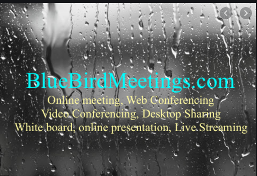 Get your own online meetings place. 
bluebirdmeetings.com
Blue bird flying high!!!
Mody blues #enterprise #startup #smallbiz #java #JEE #colleges #schools #university 
Deploy your own meetings place. Talk to us. Send a message here on twitter