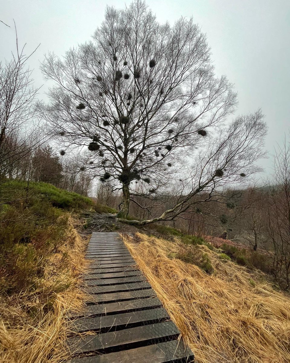 slickebabe's tweet photo. #goytvalley we beat the Great British weather &amp; had a brisk slippy stomp around the reservoir. https://t.co/H6PstlW1KH