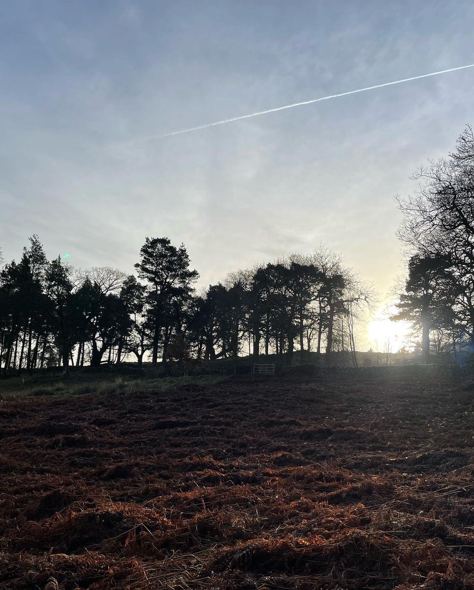slickebabe's tweet photo. #goytvalley we beat the Great British weather &amp; had a brisk slippy stomp around the reservoir. https://t.co/H6PstlW1KH