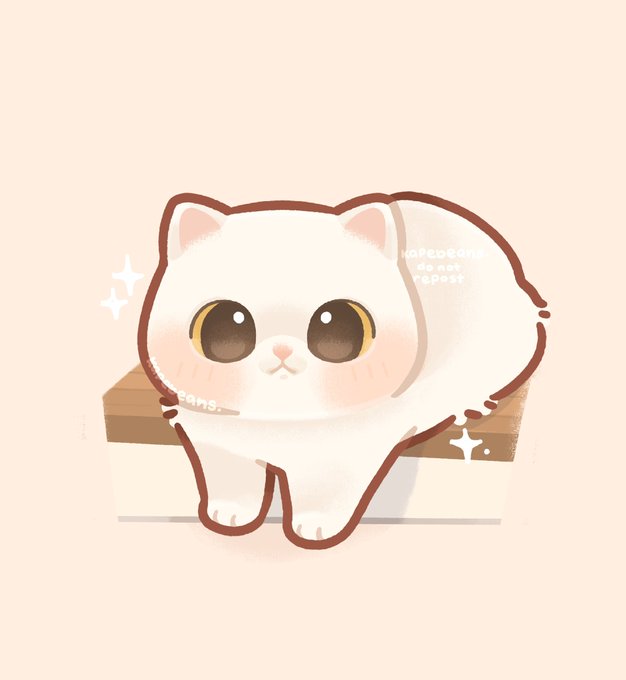 「白い猫」のTwitter画像/イラスト(人気順)