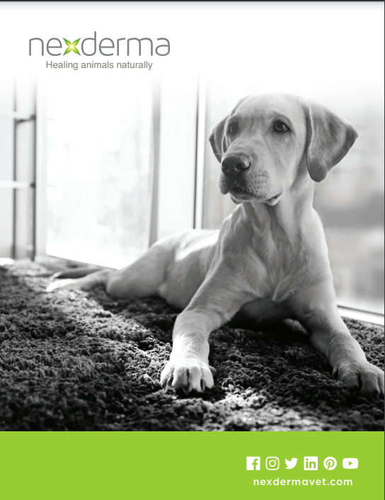 nexdermavet's tweet photo. Nexderma is focused on creating products for animals containing no harsh chemicals, like hypochlorous acid, antibiotics or steroids. 

To view our fill line of products, please visit https://t.co/MOTp7mrFs2

#nexderma https://t.co/x4ektysUp3