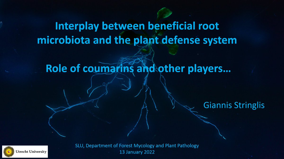 Giannis Stringlis (@gstringlis) on Twitter photo Nice start of 2022 giving a seminar <a href="/_SLU/">SLU</a>! I presented the work @vastahsu <a href="/JiayuZhou1988/">Jiayu Zhou</a> @MaxStassen <a href="/MeliUuu/">Melissa Uribe</a> do with me <a href="/utrechtpmi/">pmi@uu</a> on the interplay between root microbiota and the plant defense system. Thanks for the invitation and nice discussion! <a href="/UU_Plants/">UU_Plants</a> <a href="/MiCRop_research/">MiCRop - Microbial Imprinting for Crop Resilience</a> Nice start of 2022 giving a seminar <a href="/_SLU/">SLU</a>! I presented the work @vastahsu <a href="/JiayuZhou1988/">Jiayu Zhou</a> @MaxStassen <a href="/MeliUuu/">Melissa Uribe</a> do with me <a href="/utrechtpmi/">pmi@uu</a> on the interplay between root microbiota and the plant defense system. Thanks for the invitation and nice discussion! <a href="/UU_Plants/">UU_Plants</a> <a href="/MiCRop_research/">MiCRop - Microbial Imprinting for Crop Resilience</a>