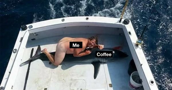 Big Cat (@barstoolbigcat) on Twitter photo 