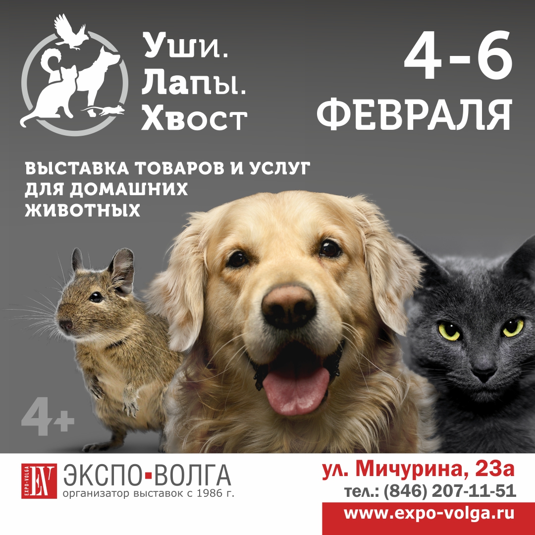 📣А мы рады сообщить, что С 4 по 6 февраля 2022 г. на площадке выставочного центра «Экспо-Волга» пройдет IX Межрегиональная специализированная выставка товаров и услуг для домашних животных «УшиЛапыХвост» 
Подробная информация на сайте expoanimals.ru