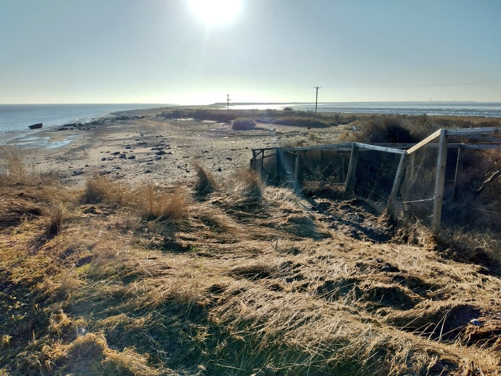 spurnbirdobs's tweet image. A short photo update on recent coastal erosion here at Spurn. It's certainly going to look a different place for many of you on your next visit! 🧵👇 @YorksWildlife @humbernature @VHEY_UK @discoverHullEY