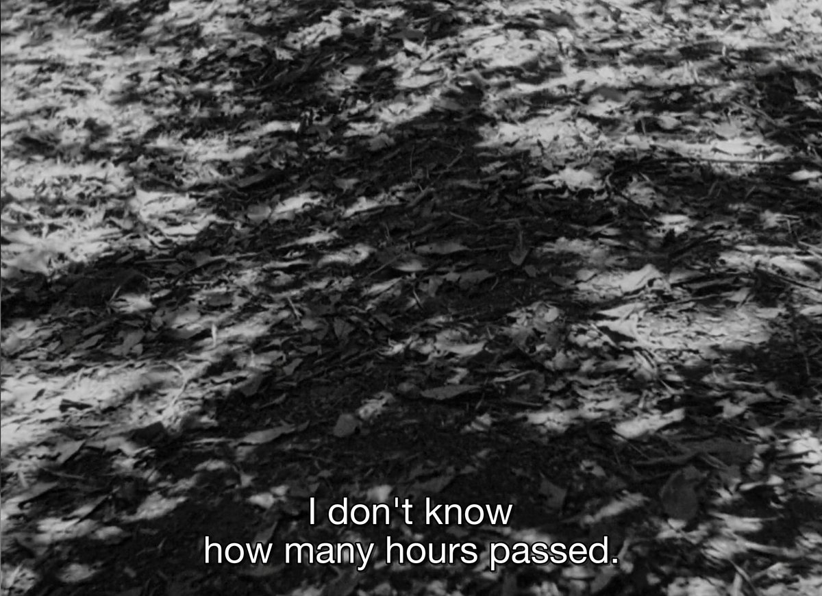 IKnewThemWell's tweet image. Masayuki Mori #BOTD
RASHOMON / 羅生門 – Akira Kurosawa, 1950
#cinematography: Kazuo Miyagawa 
#psychological #thriller #crime #POV

“I heard someone crying…”