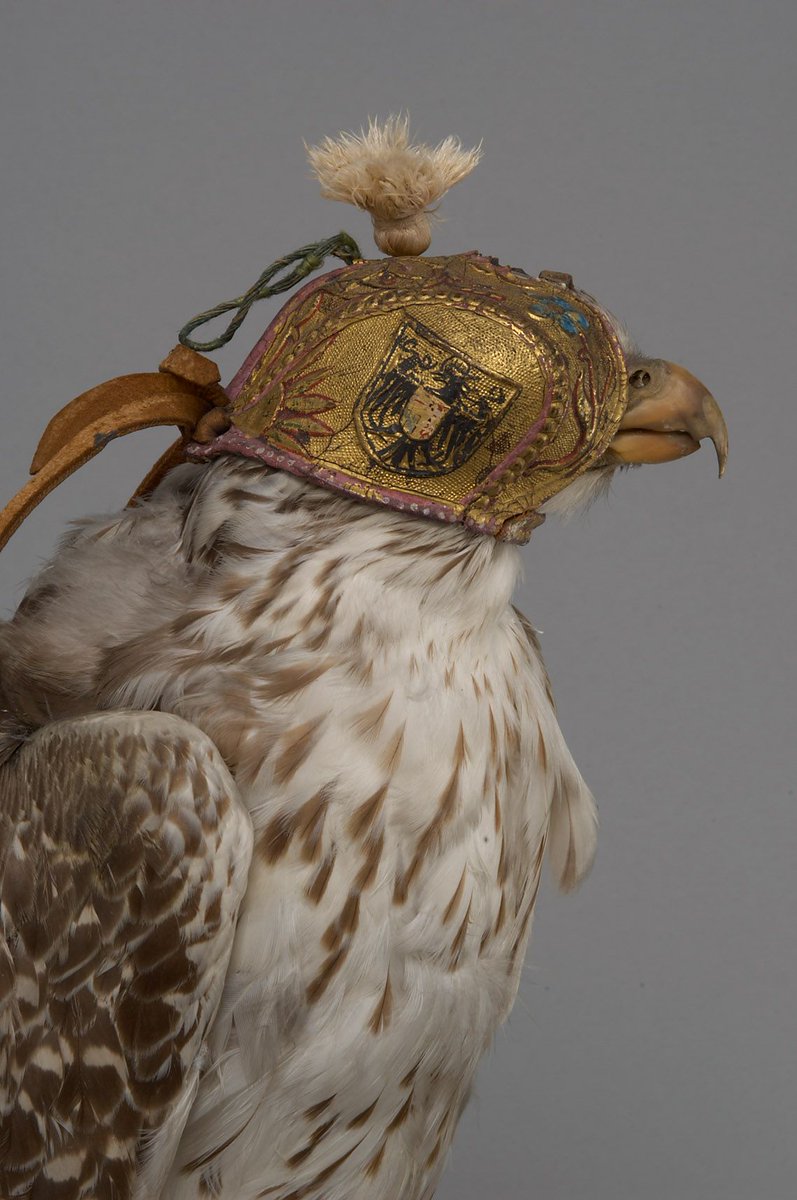 archaeologyart's tweet photo. Hawk hood,  between 1494 and 1508. A gift from Emperor Maximilian I (1459-1519) to his second wife Bianca Maria Sforza (1472-1510) © Kunsthistorisches Museum. https://t.co/H88CEuh5OK