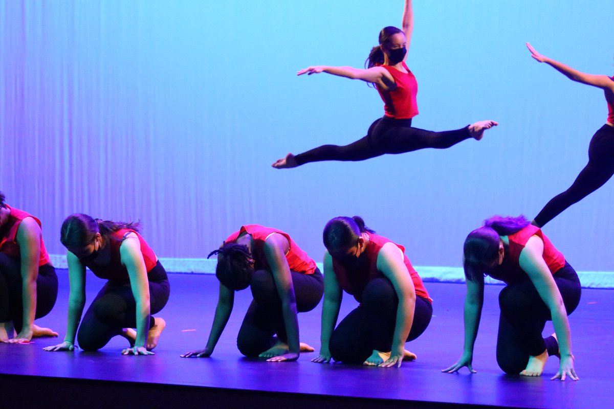Flying through exam week like....