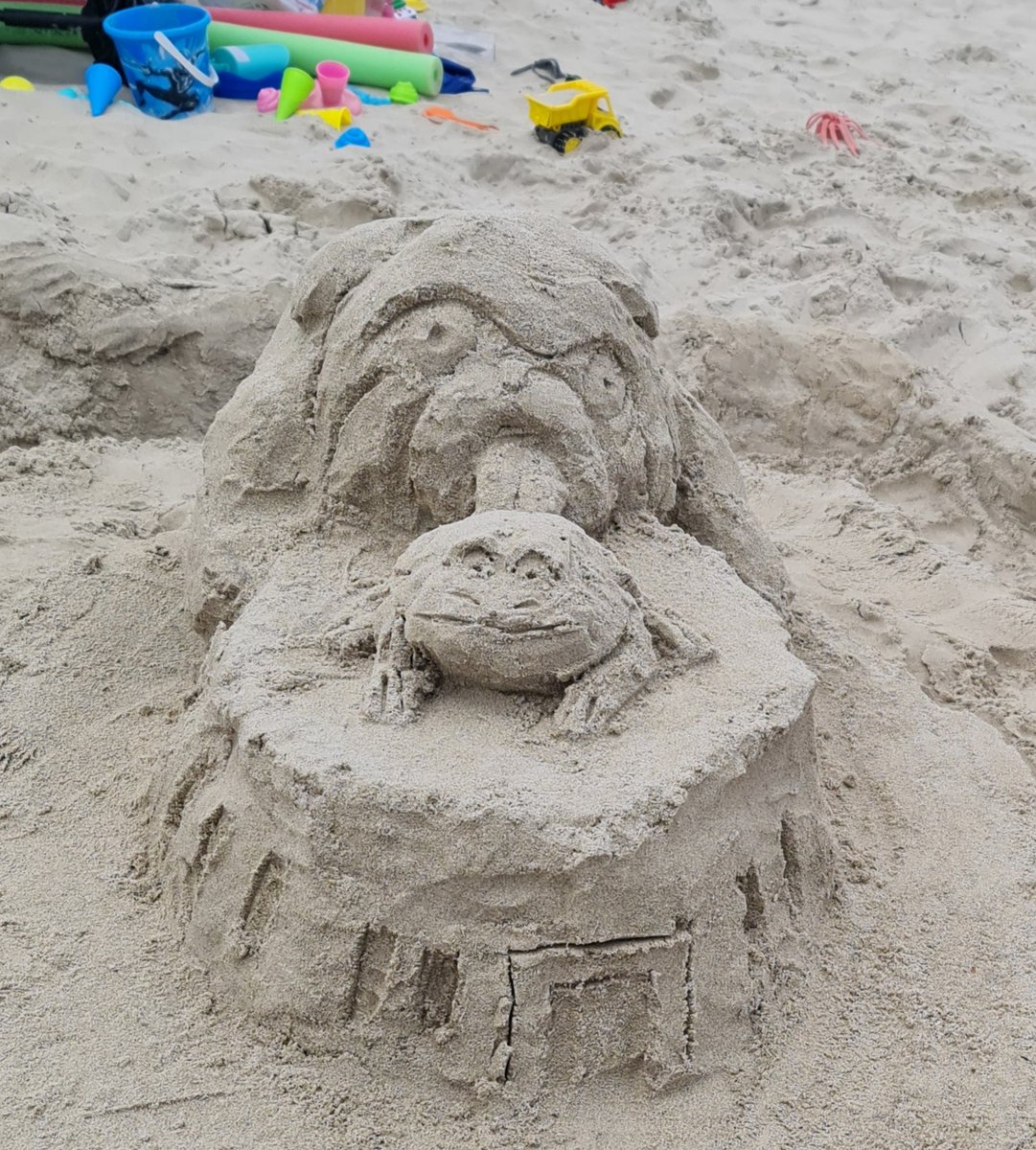 itsFRODOS's tweet photo. FRODOS spotted at the beach! https://t.co/DanwDMdqcC