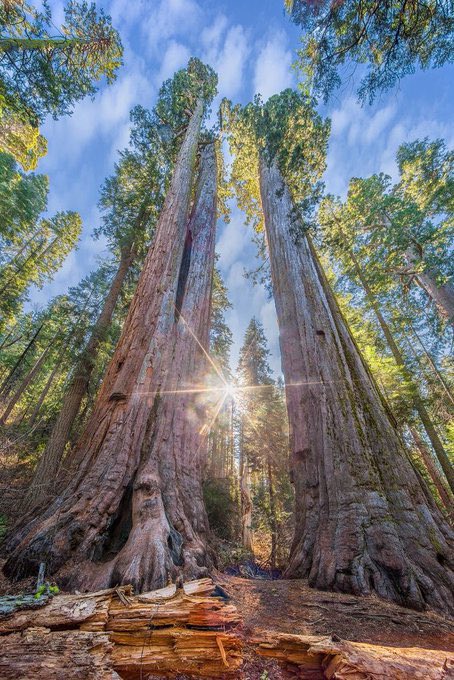 Result: RFO 

The commission has declared the result of Range Forest Officer, Class II. 

The Advt for 51 posts was published in Nov 2020. The prelims was held on 20th June 2021 while Mains were 10, 11 &amp; 15 September, 2021. Interviews were held between 28 Dec, 2021 - 5 Jan, 2022.