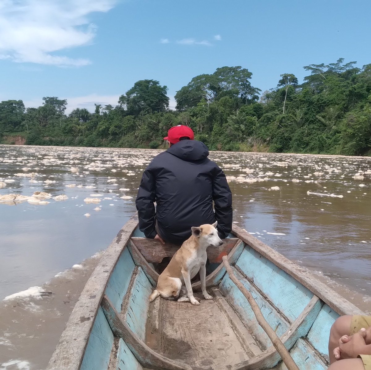 FranckSebas2017's tweet image. #NuevaFotoDePerfil