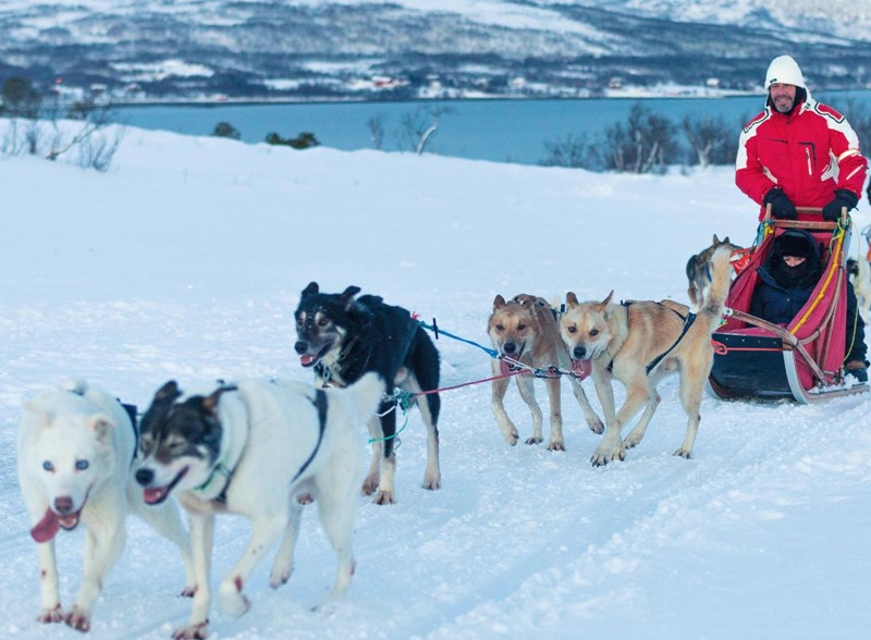 Green Wine Future presenta el programa Wine for the Planet vinetur.com/2022011267532/…