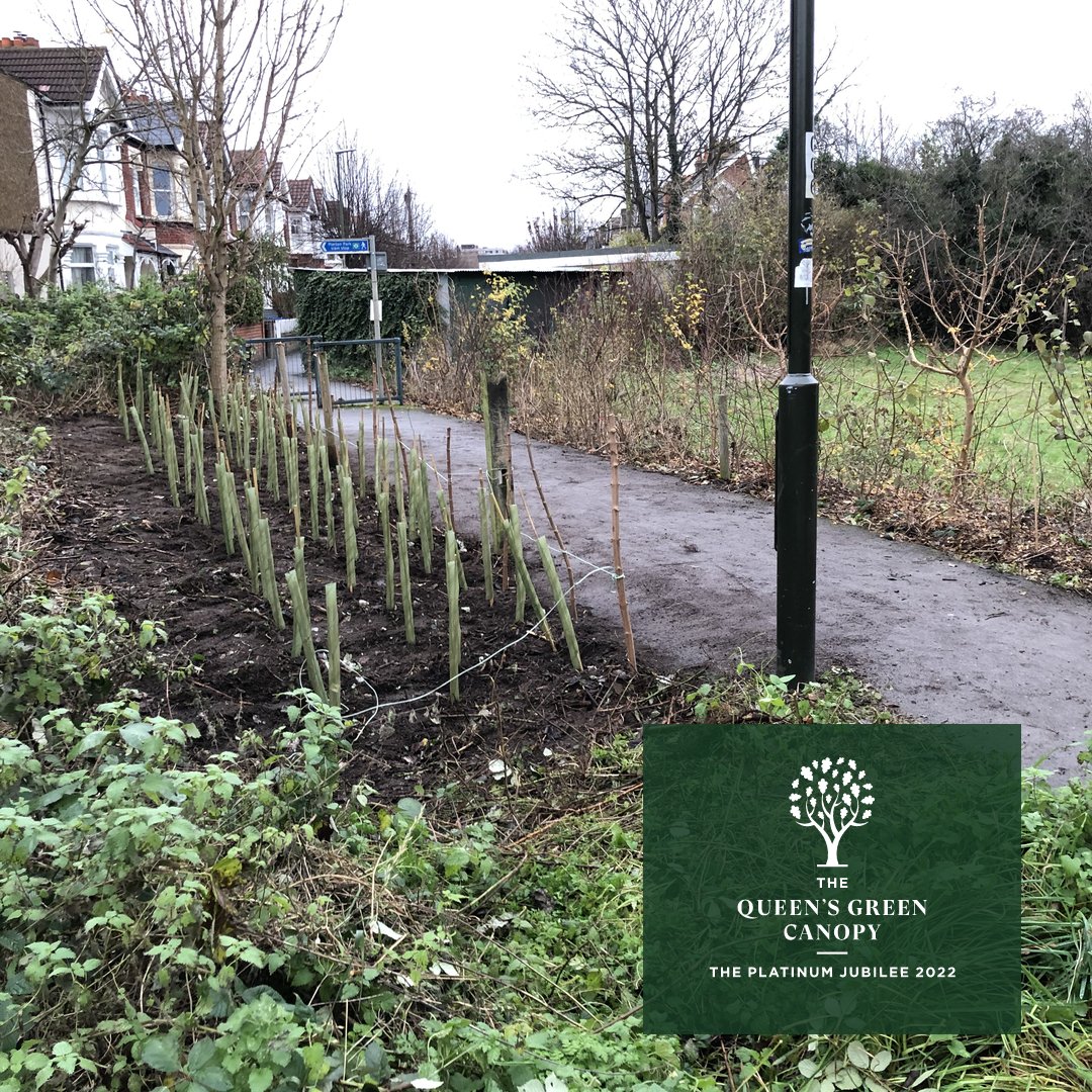 A WERA  project has been awarded a virtual plaque under the Queen's Green Canopy Scheme for planting 80 trees during the platinum jubilee year .

#QueensGreenCanopy     #plantatreeforthejubilee

wera.info