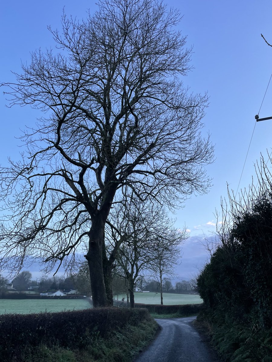 Norma Carr - Raising Vibrations tweet media