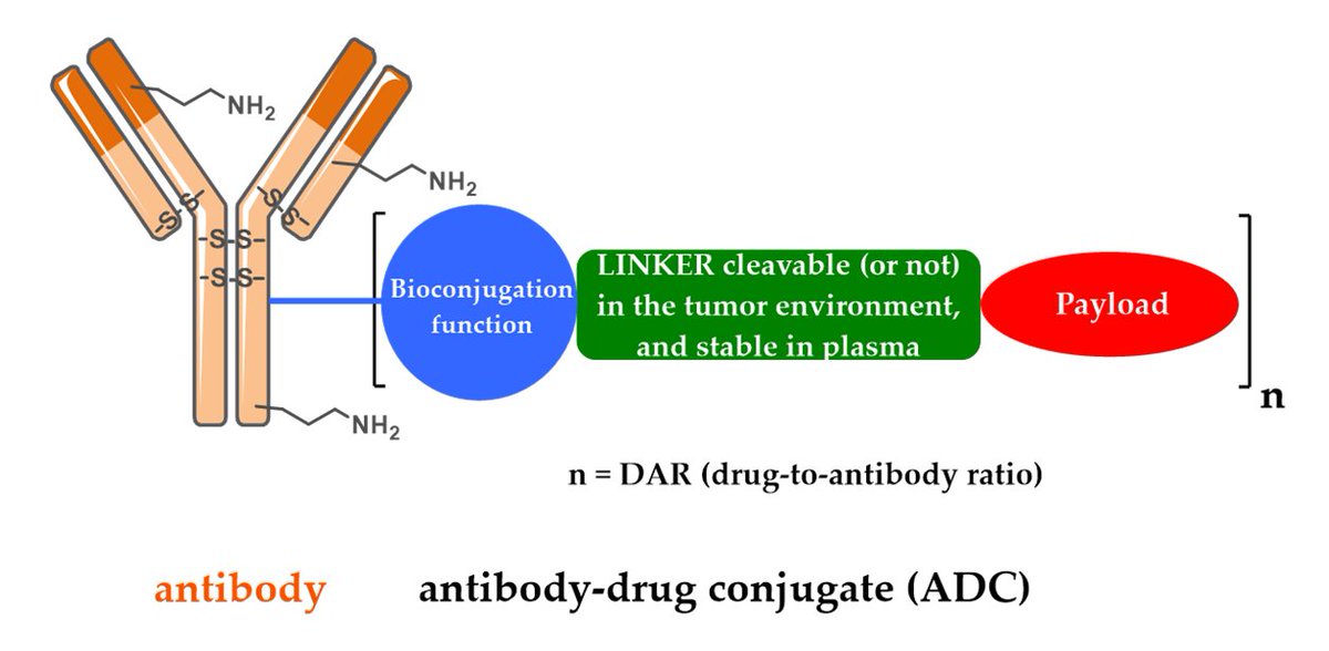 Pharmaceuticals Highly Cited Papers by Dr. Nicolas Joubert et al.: #Antibody–Drug Conjugates: The Last Decade.

#AntibodyDrugConjugate #Bioconjugation #Cancer  #CombinationTherapies

📄View Full-Text Via:
mdpi.com/1424-8247/13/9…