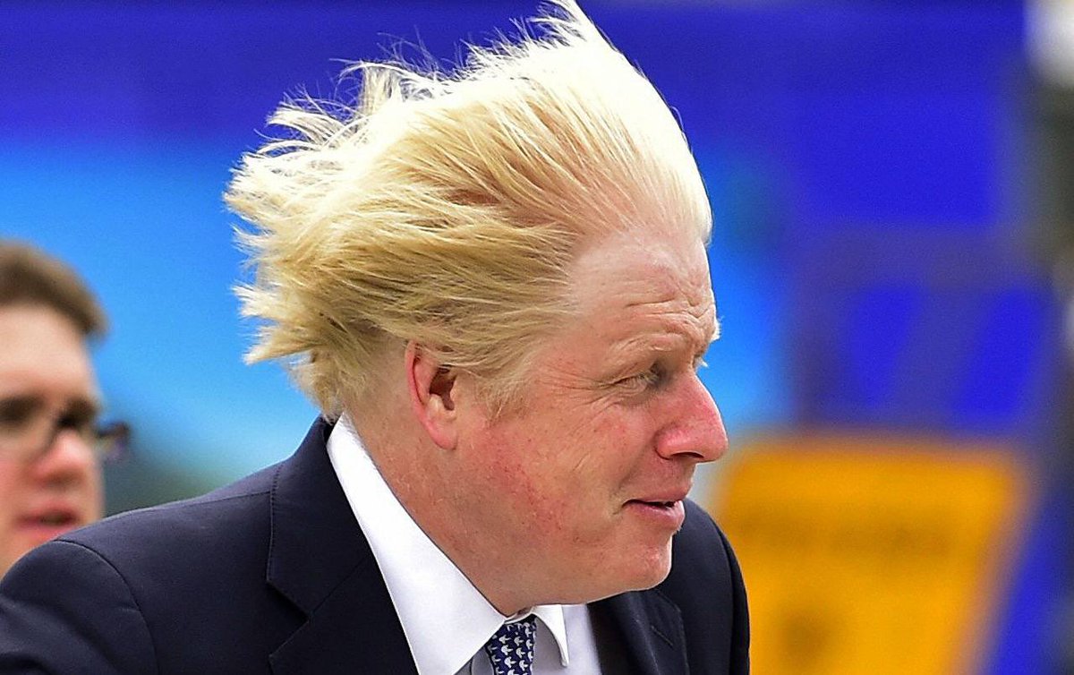 British politicians. British politics. премьер министр великобритании джонсон. British politicians. Larry either prime minister goes.