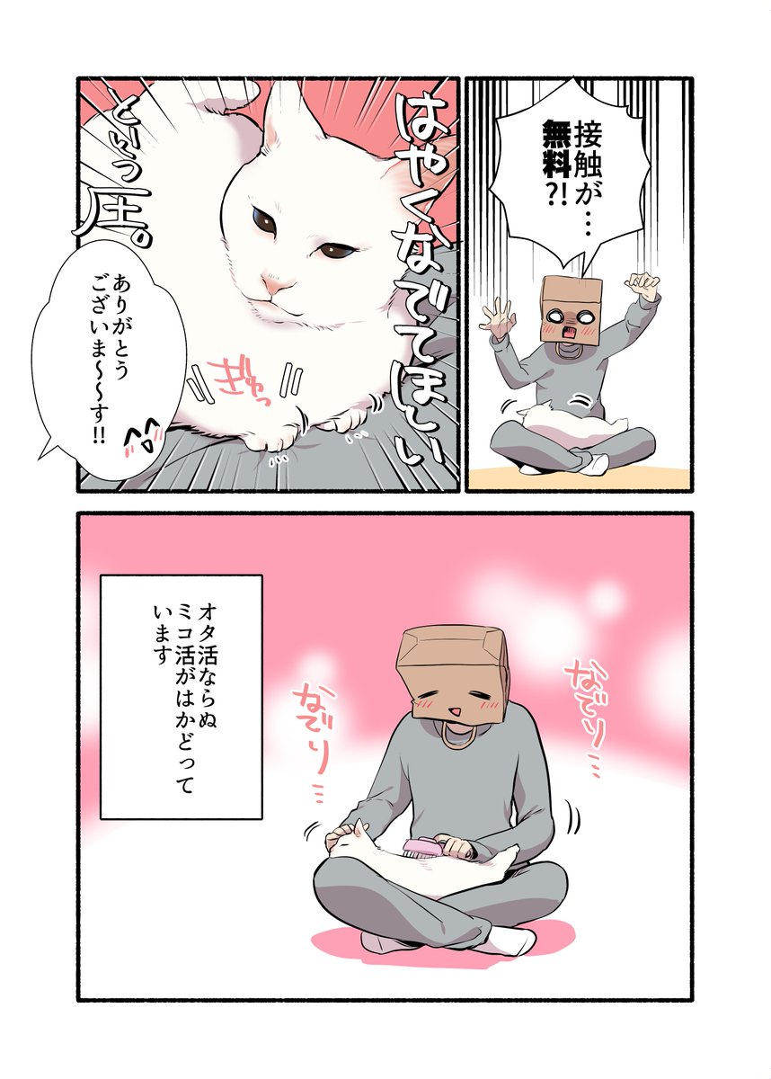 白い猫と暮らしている漫画③です
#ペット漫画 #猫エッセイ 