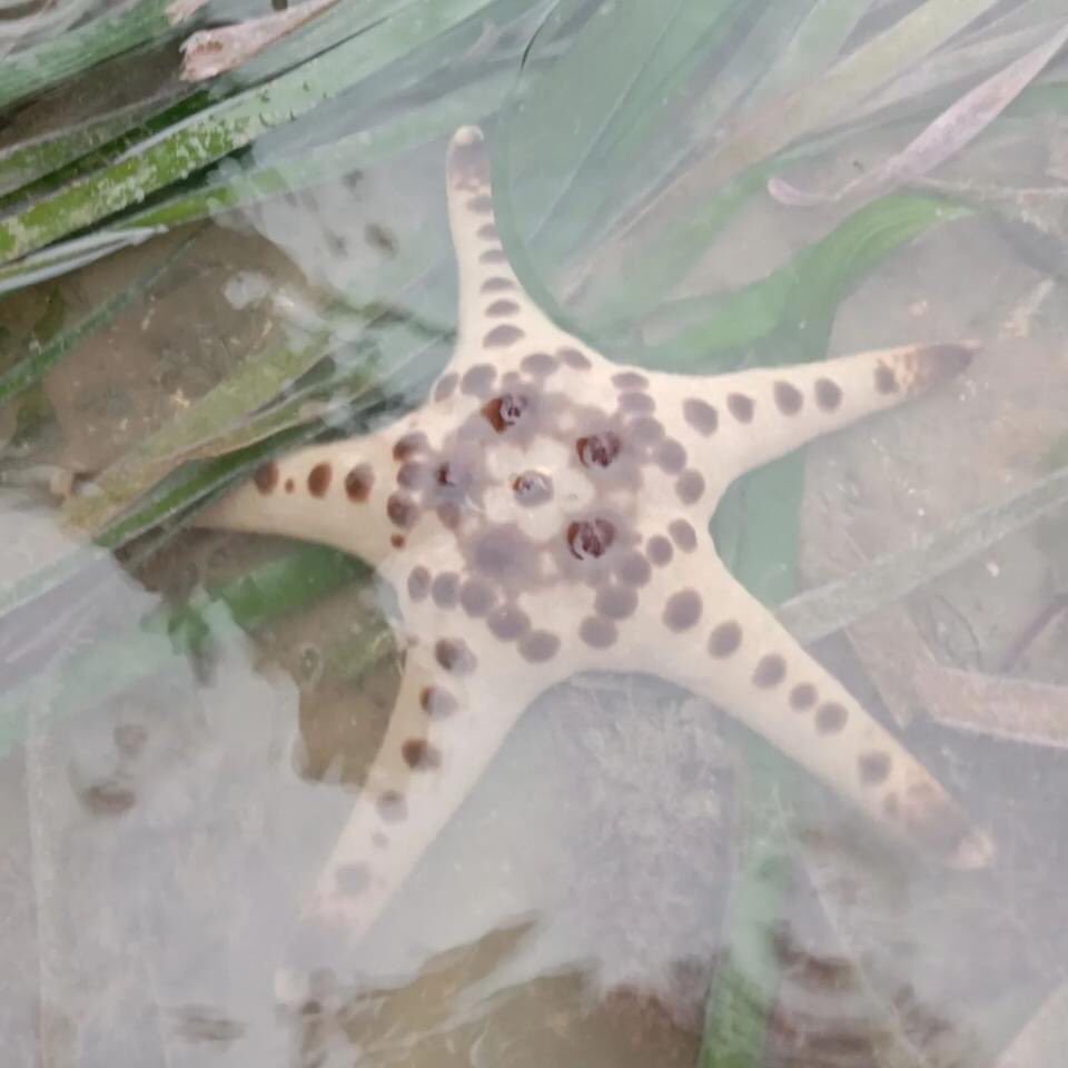 TheHabitatFoundation tweet media