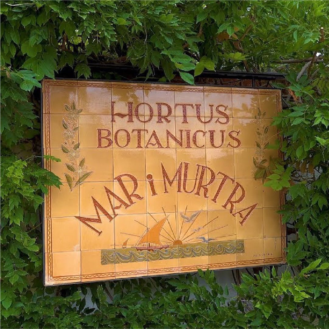 Our of latest packaging design. Murtra Gastronomic Gin #packagingdesign #gin