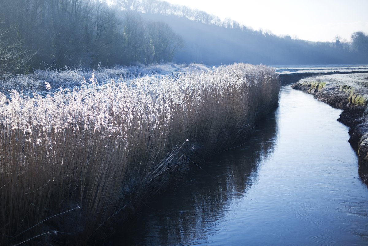 SouthDownsFans's tweet image. A gloriously frosty start ❄️